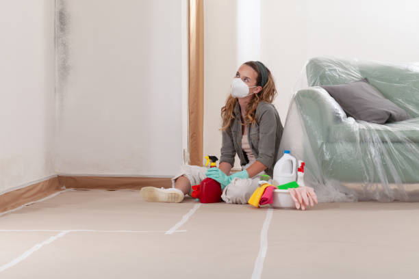 Reliable Mold Testing contractor in Woodland, NC by WQB Mold Removal